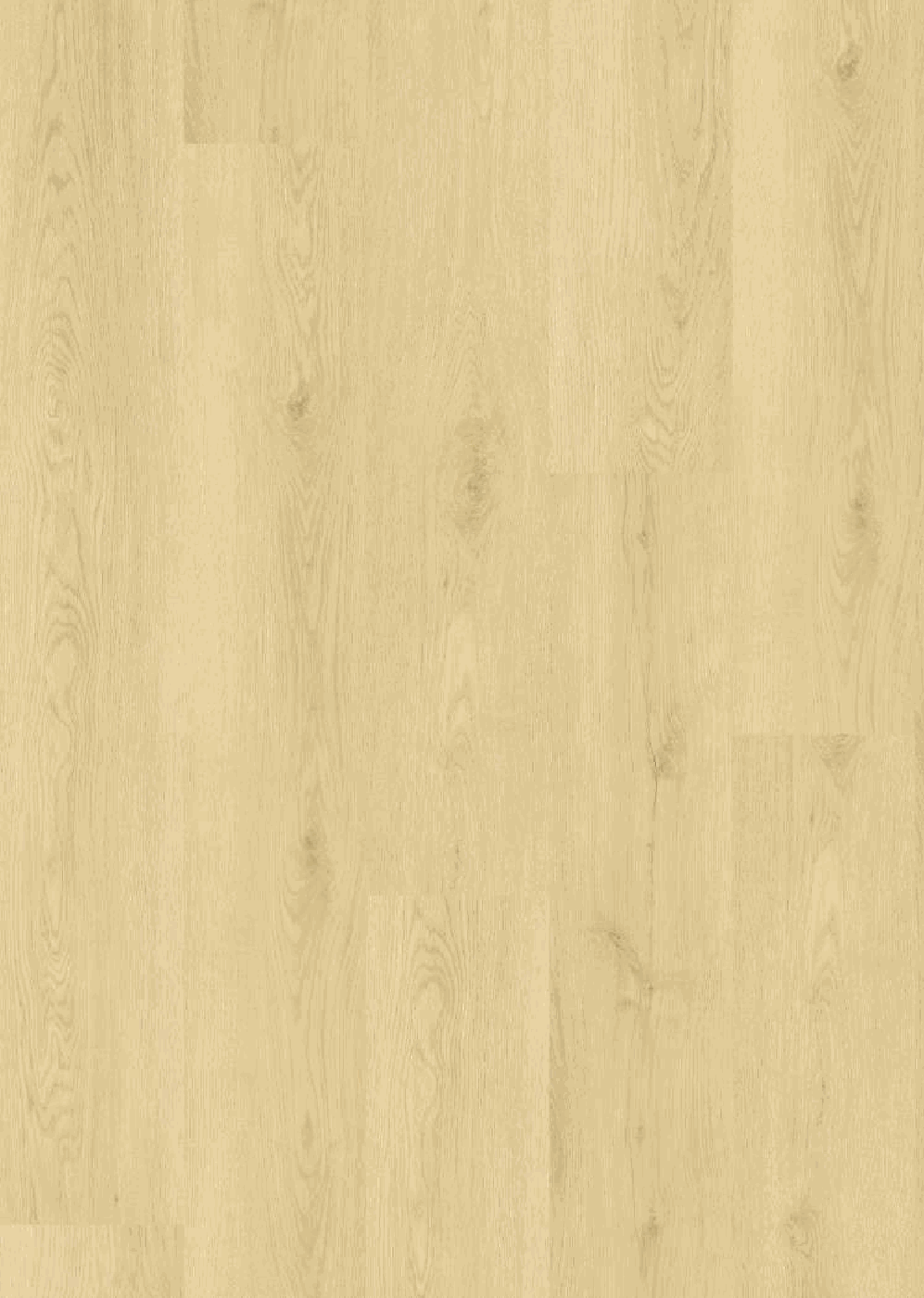 SC5520-12 Rigid Core Luxury Vinyl Plank - Warehouse Direct exclusive | 254 Floors Waco TX wholesale